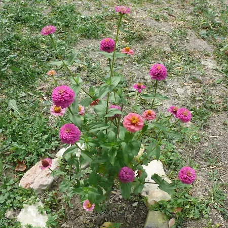 Agriturismo Campo Del Rio *