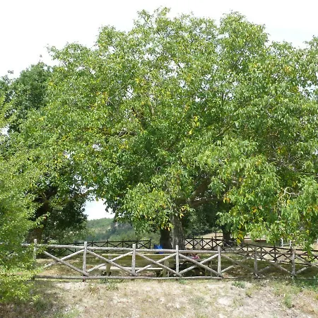 Agriturismo Campo Del Rio Alojamento de Turismo Rural