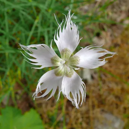 Lantgård Agriturismo Campo Del Rio *