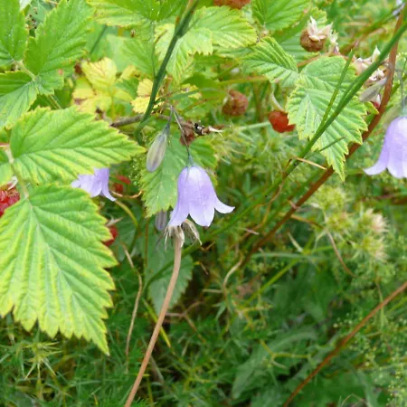 Agriturismo Campo Del Rio