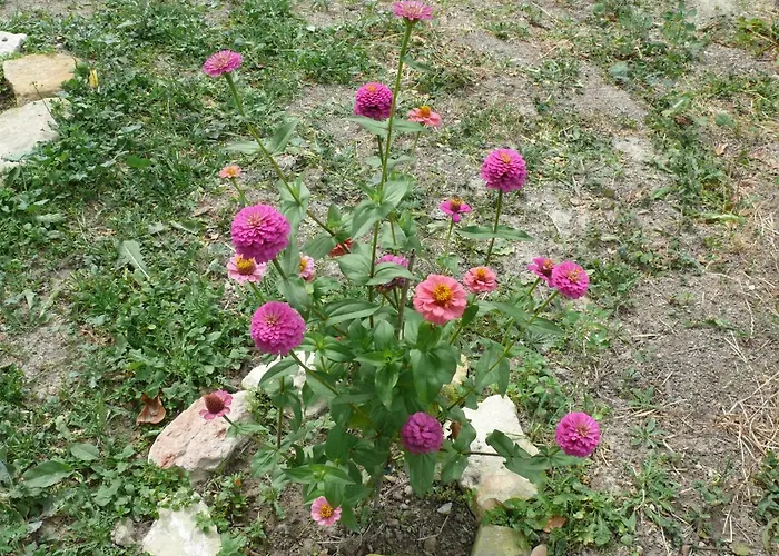 Agriturismo Campo Del Rio *