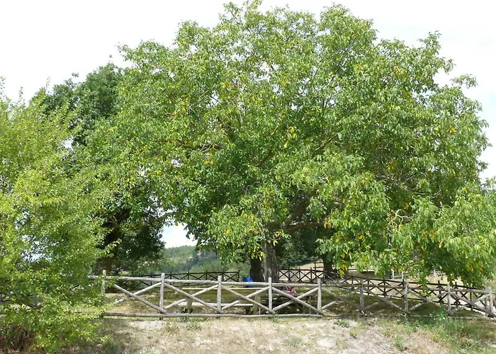 Agriturismo Campo Del Rio Gospodarstwo agroturystyczne